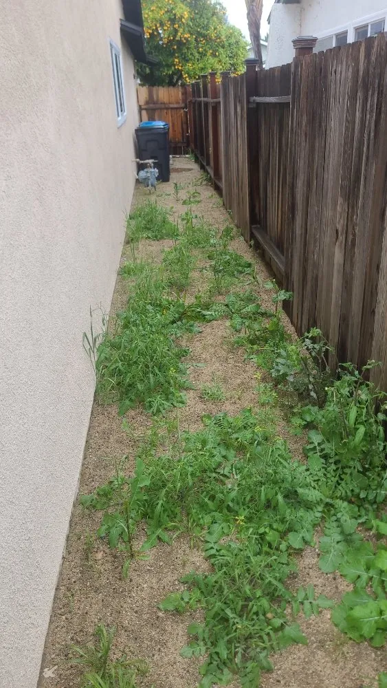 Top-rated outdoor landscaping experts serving Simi Valley, CA - Yard Craft Landscaping