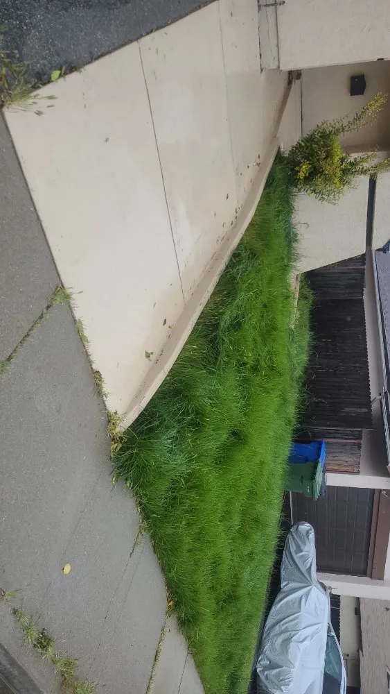 Top-rated landscaping services with custom design across Simi Valley, CA - Yard Craft Landscaping