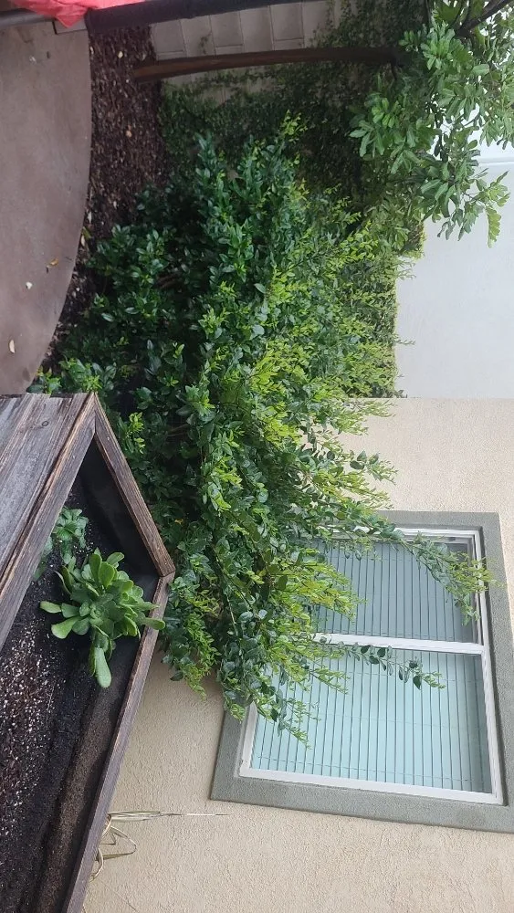 Reliable landscape design experts serving Simi Valley, CA - Yard Craft Landscaping