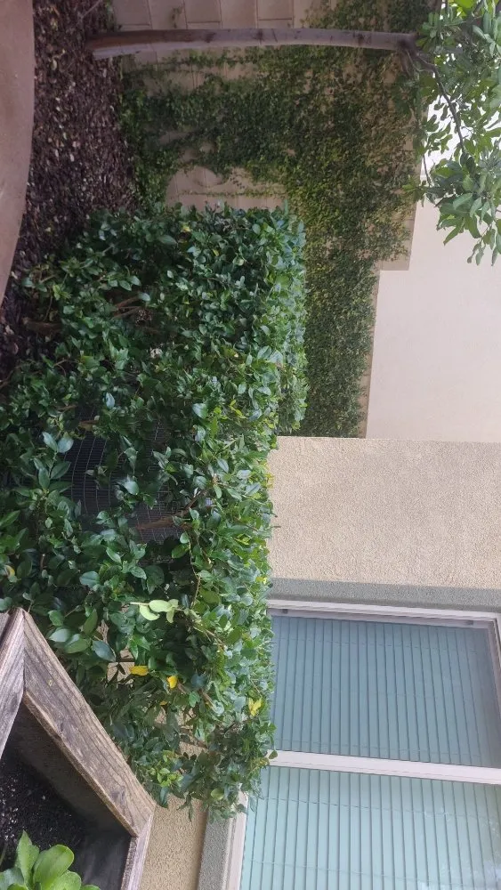 Affordable landscaping services in Simi Valley, CA by Yard Craft Landscaping