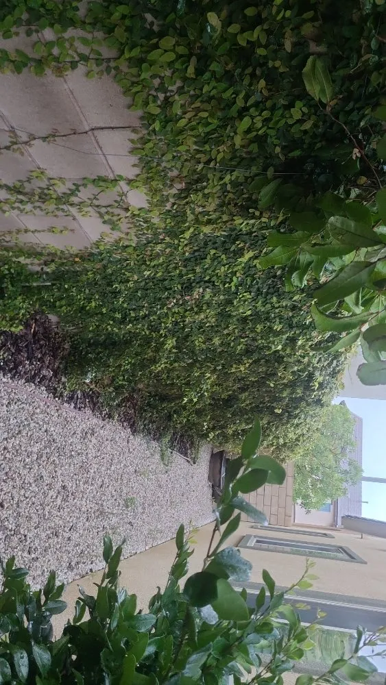 Affordable yard maintenance in Simi Valley, CA by Yard Craft Landscaping