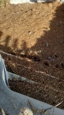 Yard Craft Landscaping Logo