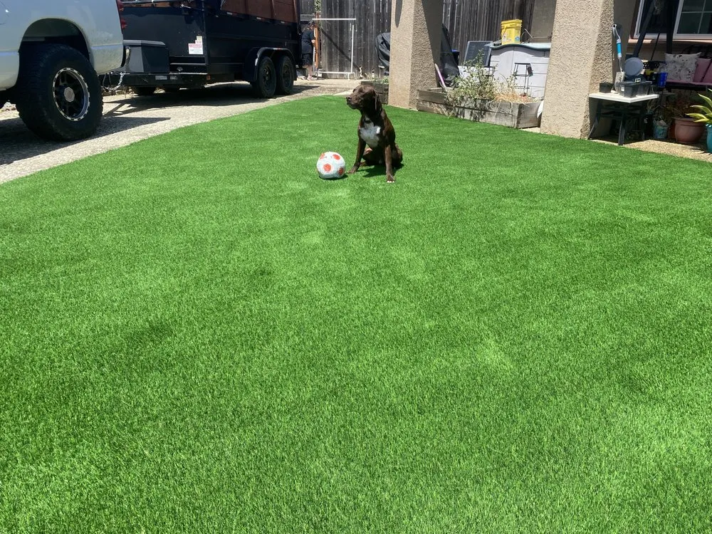 Expert outdoor landscaping in Stockton, CA - Yard Creations Landscape Services