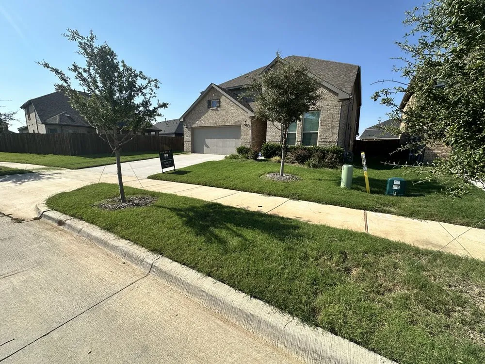Trusted yard maintenance in Lantana, TX by Yard Dad Services