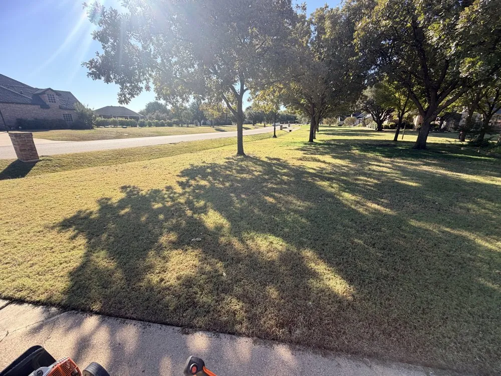 Trusted landscape installation near you in Lantana, TX by Yard Dad Services