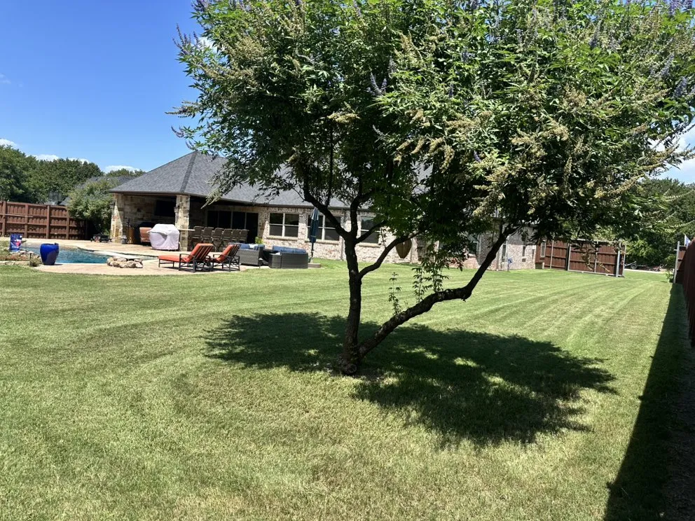 Custom yard cleanup service in Lantana, TX by Yard Dad Services