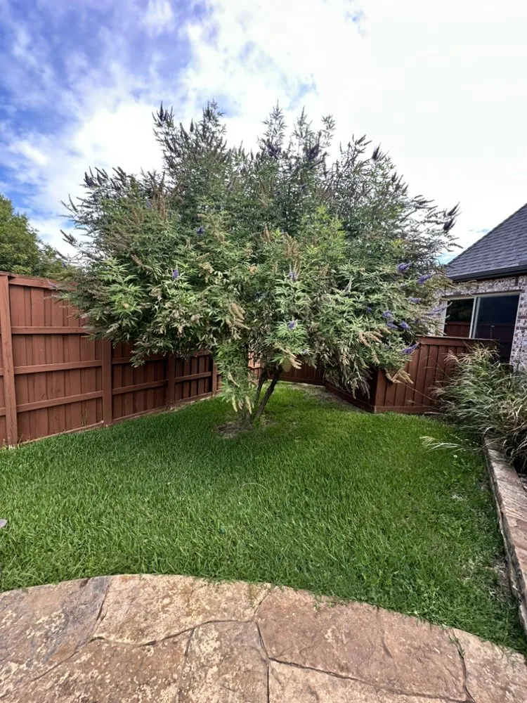 Expert landscape design in Lantana, TX - Yard Dad Services