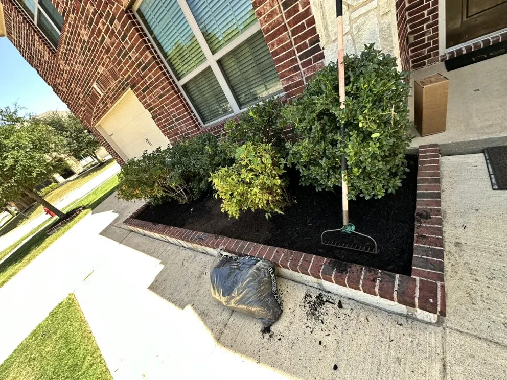 Affordable yard cleanup service for outdoor upgrades in Lantana, TX by Yard Dad Services