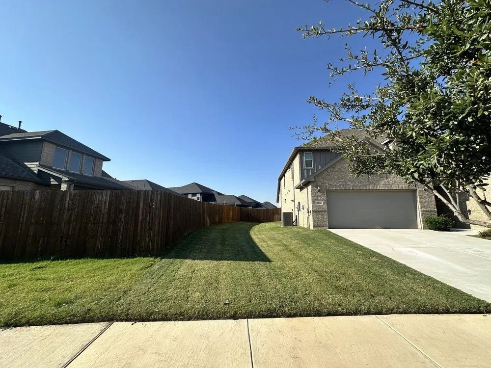 Professional yard cleanup service in Lantana, TX by Yard Dad Services