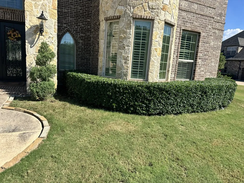 Affordable residential landscaping in Lantana, TX - Yard Dad Services