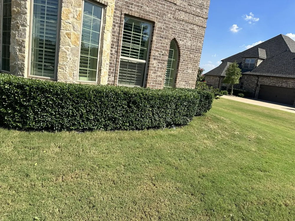 Local landscape installation with custom design in Lantana, TX by Yard Dad Services