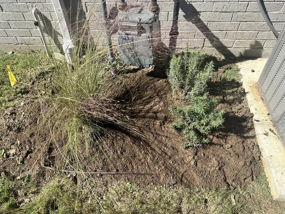 Custom yard maintenance in Lantana, TX - Yard Dad Services