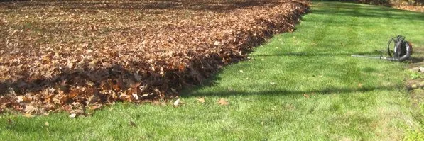 Professional yard maintenance in Hamlin, NY - Yard Daddy