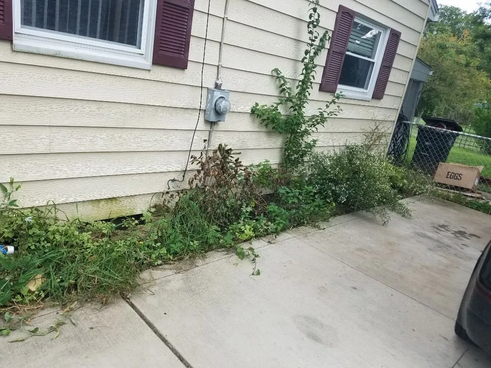 Expert lawn mowing service experts serving new franklin, OH - Yard Dawg Lawn Care