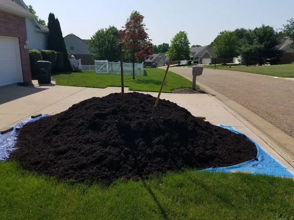 Expert yard maintenance in new franklin, OH - Yard Dawg Lawn Care