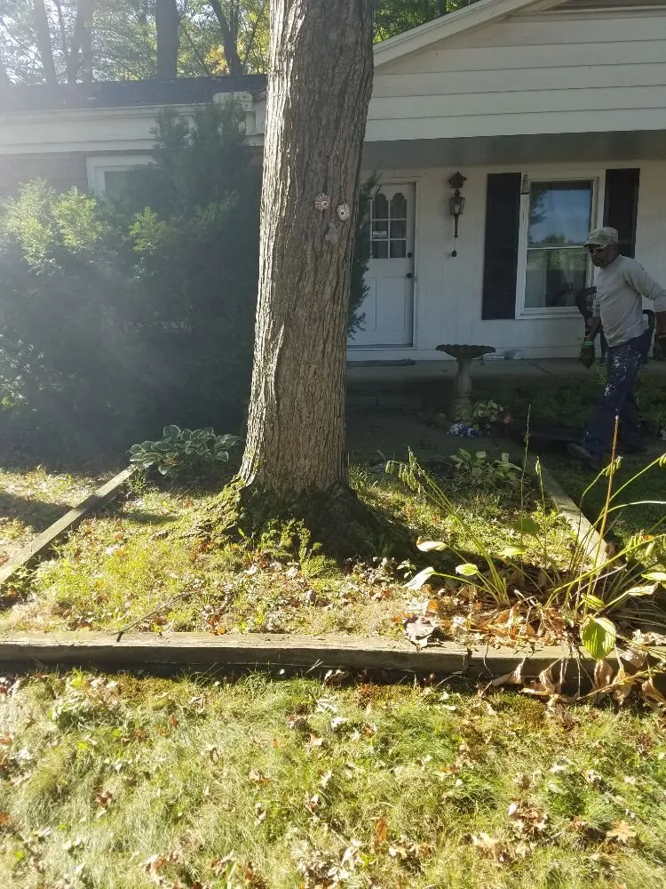 Custom landscaping services in new franklin, OH - Yard Dawg Lawn Care
