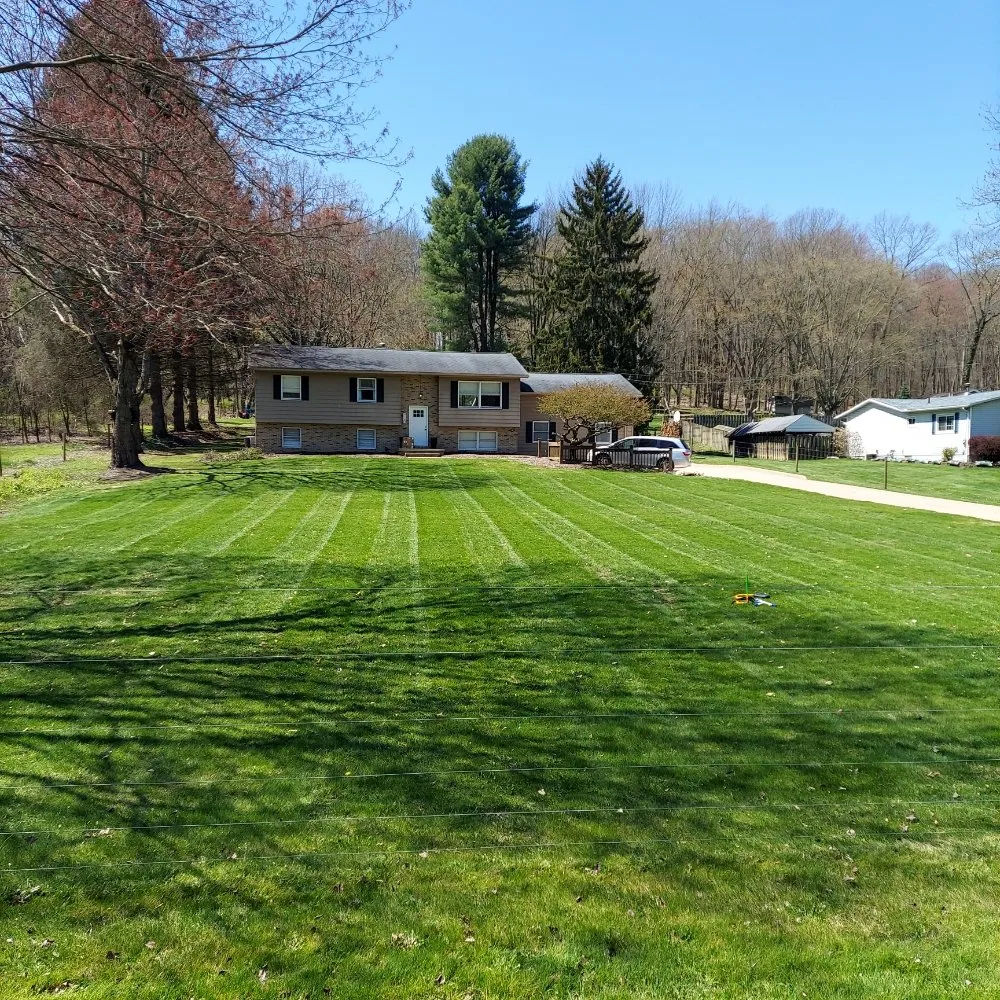 Top-rated yard maintenance in new franklin, OH by Yard Dawg Lawn Care