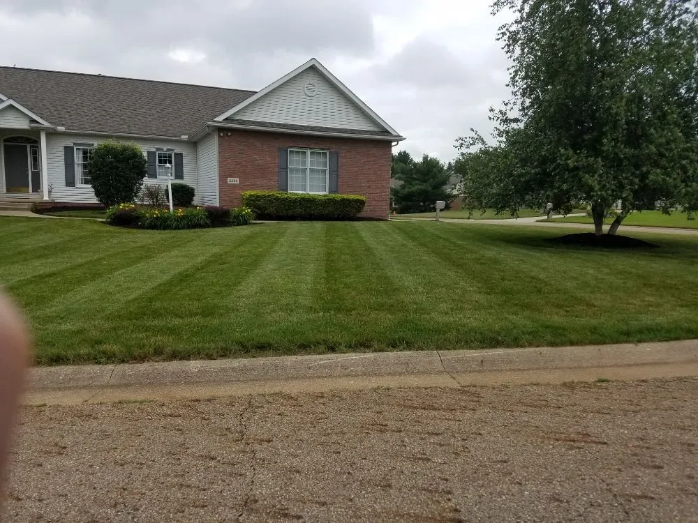 Professional yard cleanup service with custom design in new franklin, OH by Yard Dawg Lawn Care