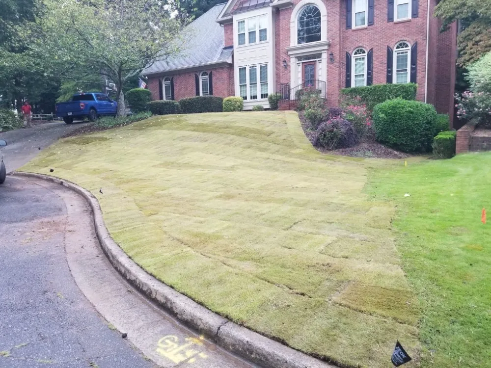 Professional residential landscaping experts serving Cumming, GA - Yard Dawgs