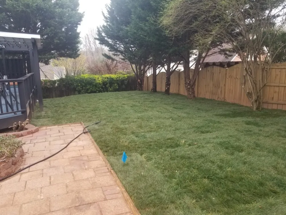 Expert lawn mowing service experts serving Cumming, GA - Yard Dawgs