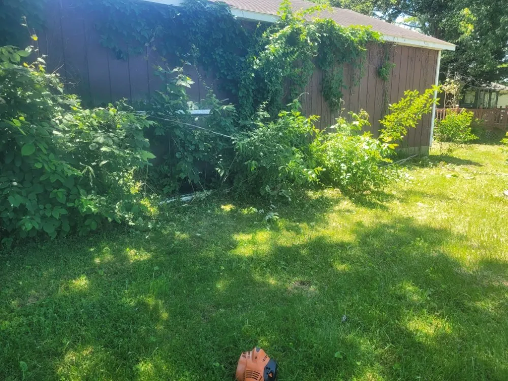Local yard cleanup service for year-round maintenance in Pleasantville, OH by Yard Dawgs Direct