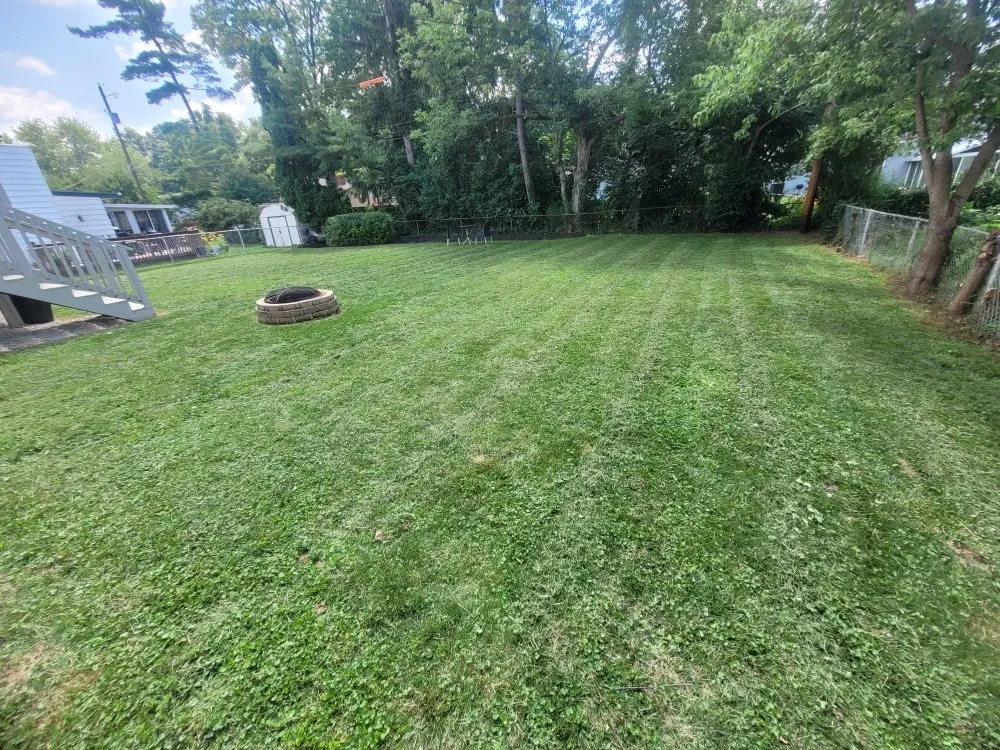 Reliable lawn mowing service in Pleasantville, OH - Yard Dawgs Direct