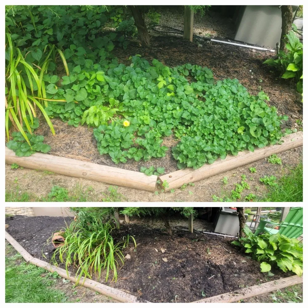 Professional yard cleanup service experts serving Pleasantville, OH - Yard Dawgs Direct