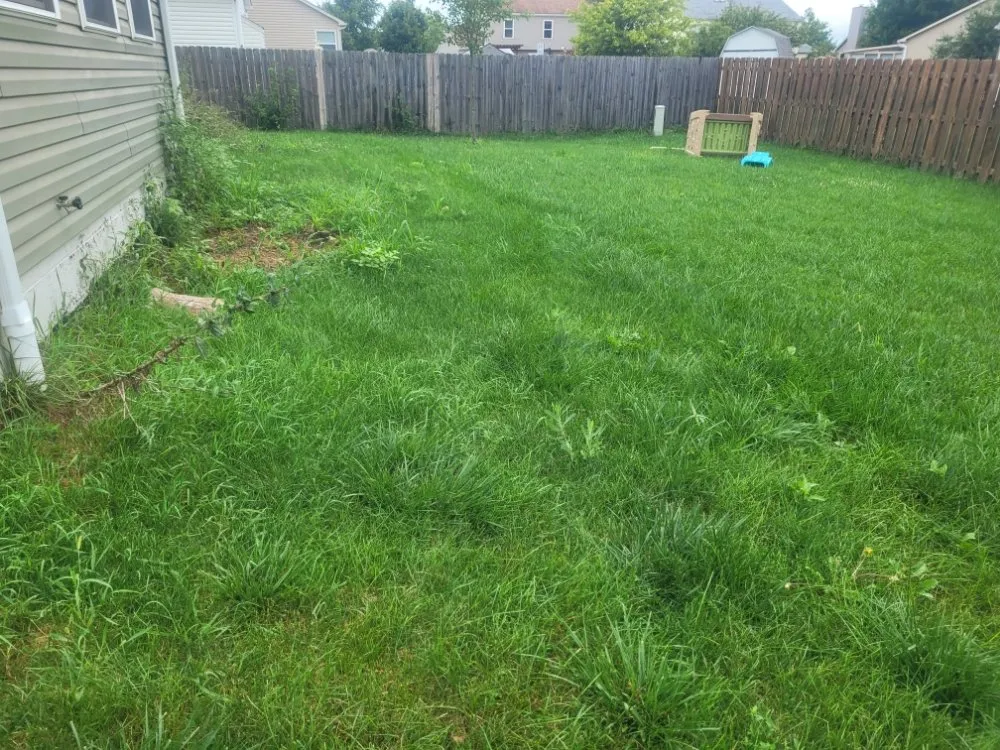 Custom outdoor landscaping near you in Pleasantville, OH by Yard Dawgs Direct