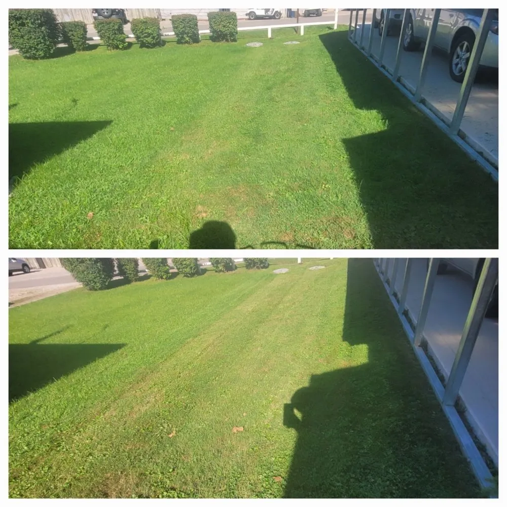 Local lawn care service in Pleasantville, OH - Yard Dawgs Direct