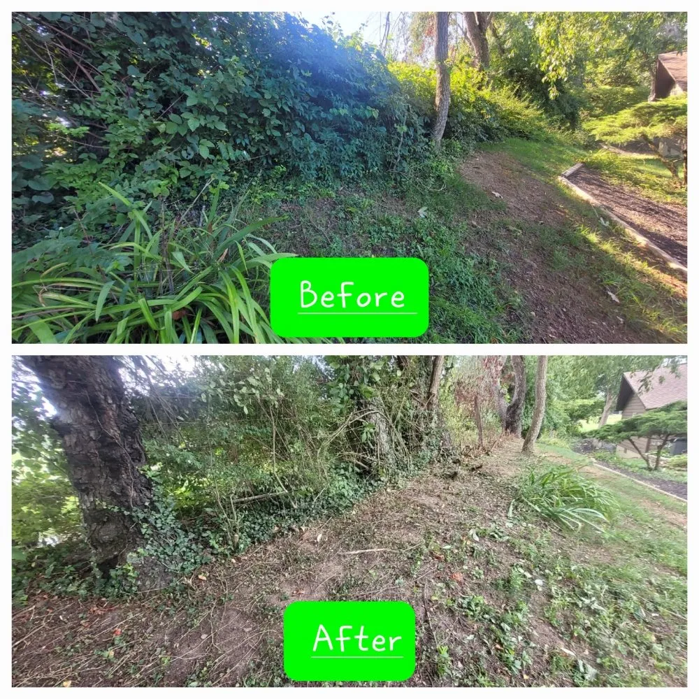 Expert yard cleanup service experts serving Pleasantville, OH - Yard Dawgs Direct