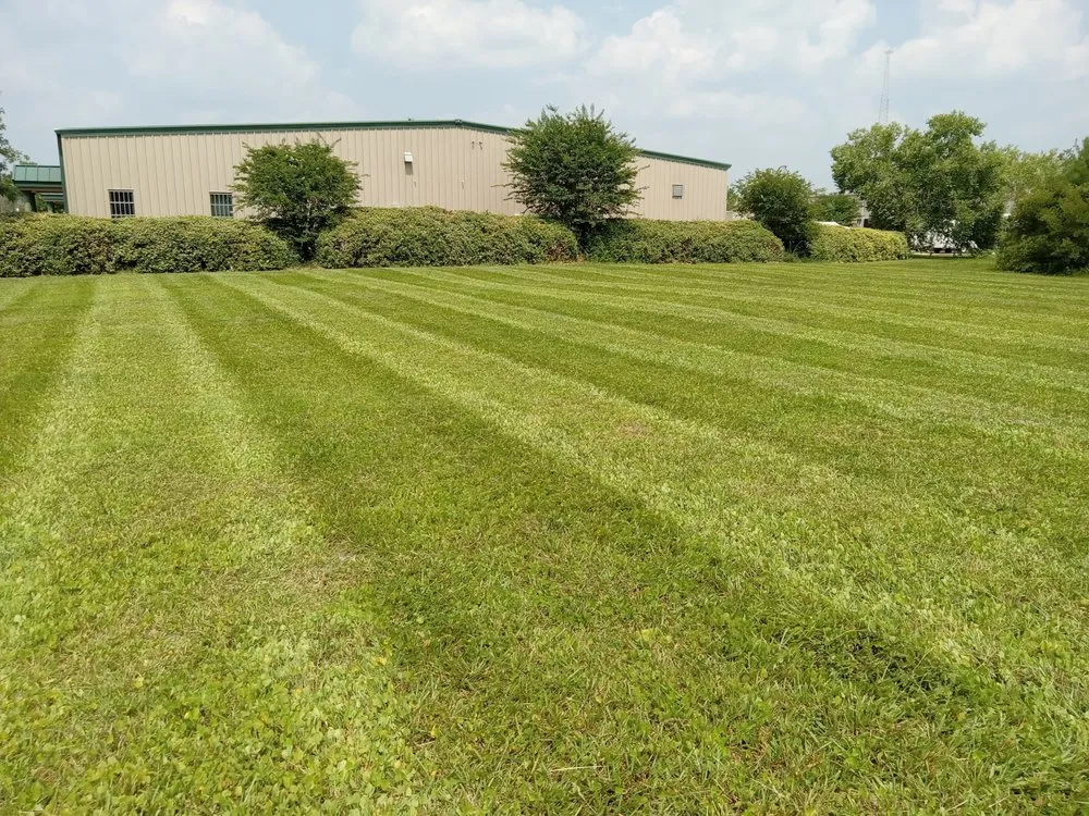 Affordable lawn mowing service in Effingham, SC by Yard Dawgs