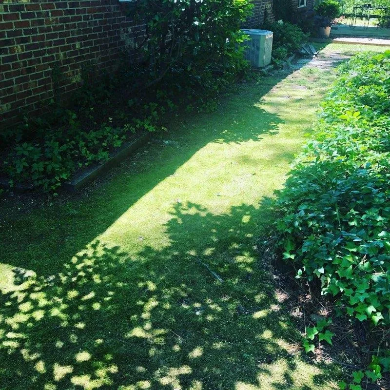 Affordable residential landscaping in Fayetteville, NC by Yard Dawgs Landscaping