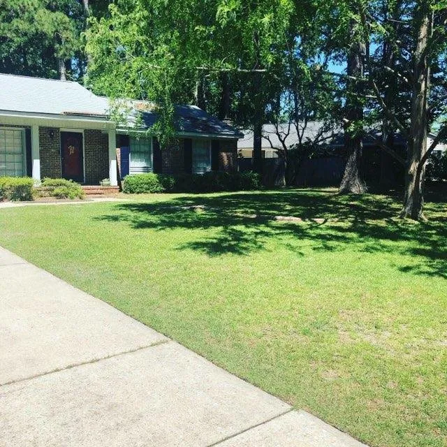 Top-rated outdoor landscaping for year-round maintenance across Fayetteville, NC - Yard Dawgs Landscaping