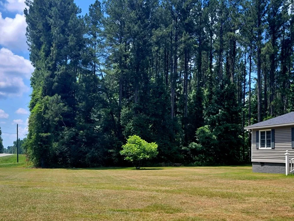 Top-rated outdoor landscaping experts serving Adrian, GA - Yard Dawgs Lawn Care