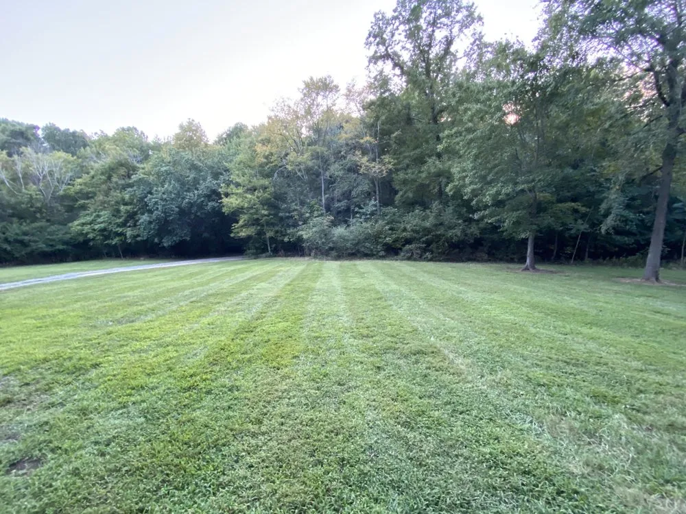 Custom yard cleanup service in Asheboro, NC - Yard Dawgs Outdoor Services & More