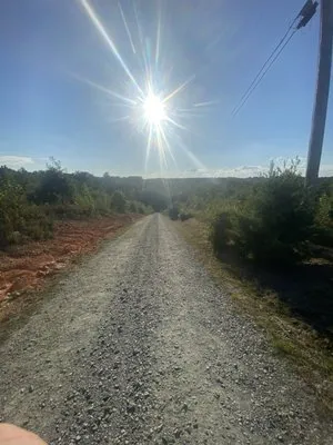 Yard Dawgs Outdoor Services & More Logo