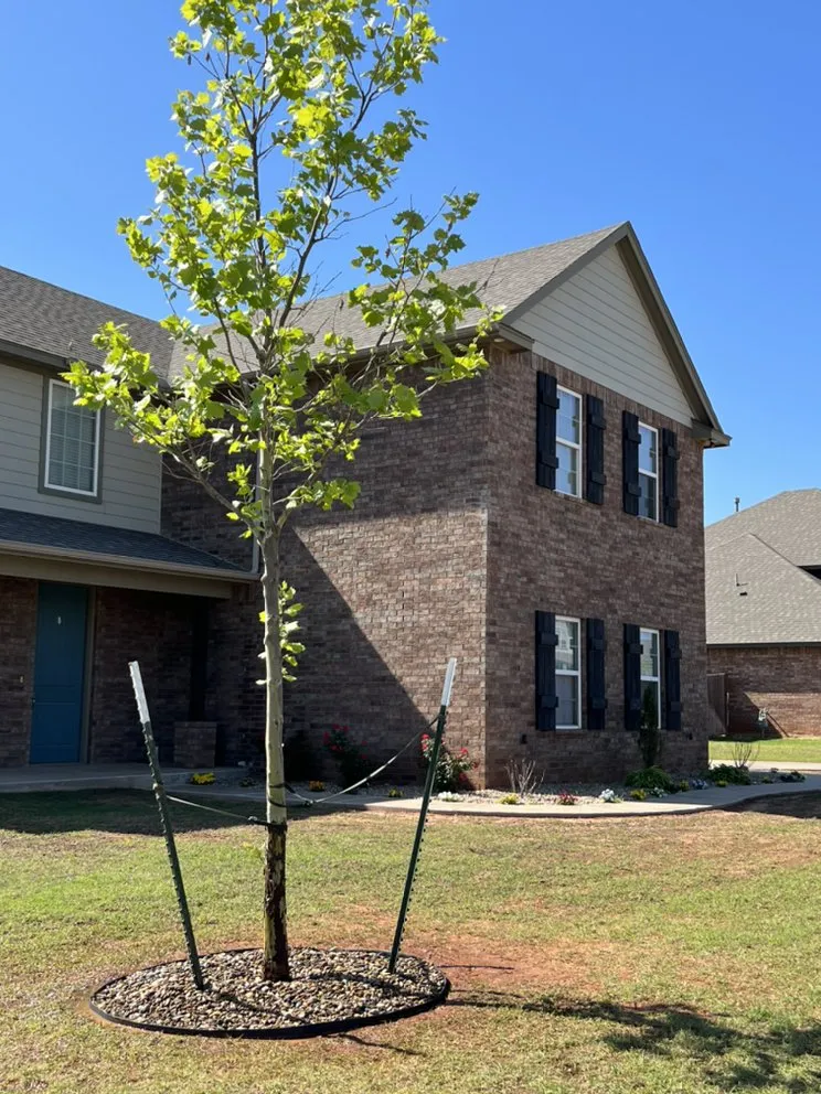 Custom yard cleanup service in Yukon, OK by Yard Dawgz