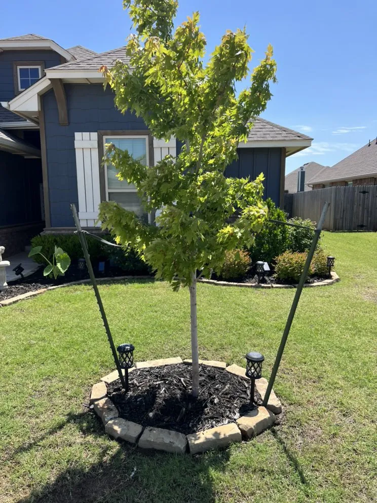 Trusted yard cleanup service in Yukon, OK - Yard Dawgz