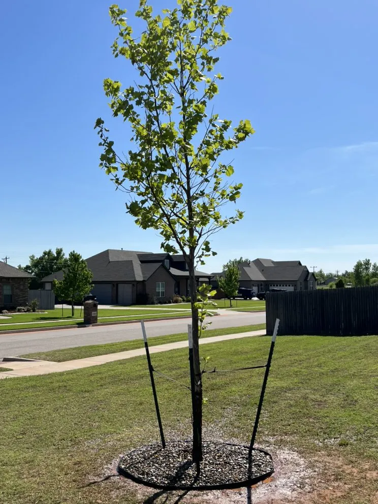 Custom lawn care service for homes across Yukon, OK - Yard Dawgz