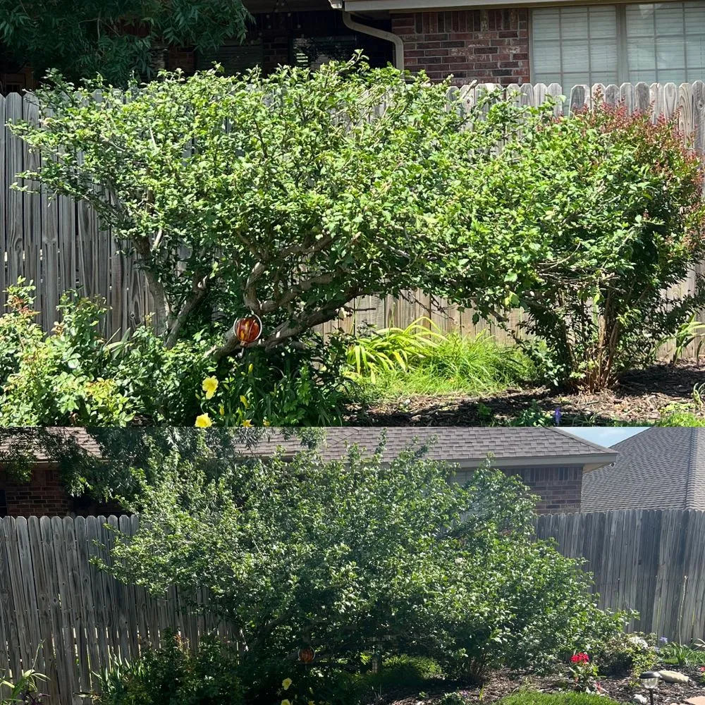 Trusted yard maintenance experts serving Yukon, OK - Yard Dawgz