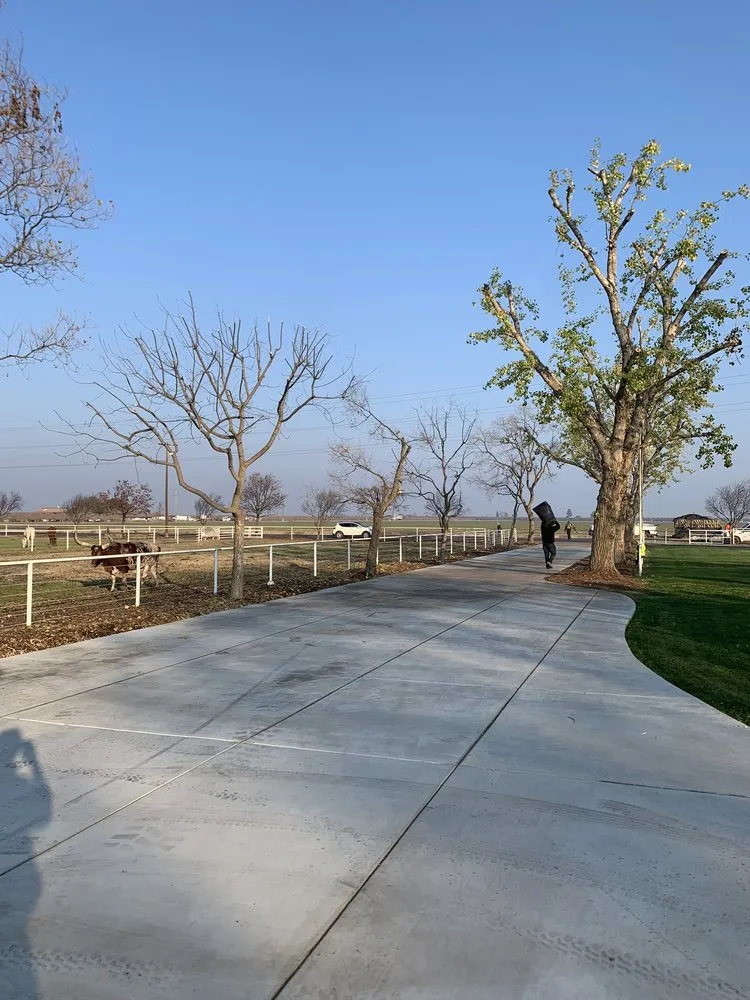 Trusted lawn care service near you across Tulare, CA - Yard Deep Clean