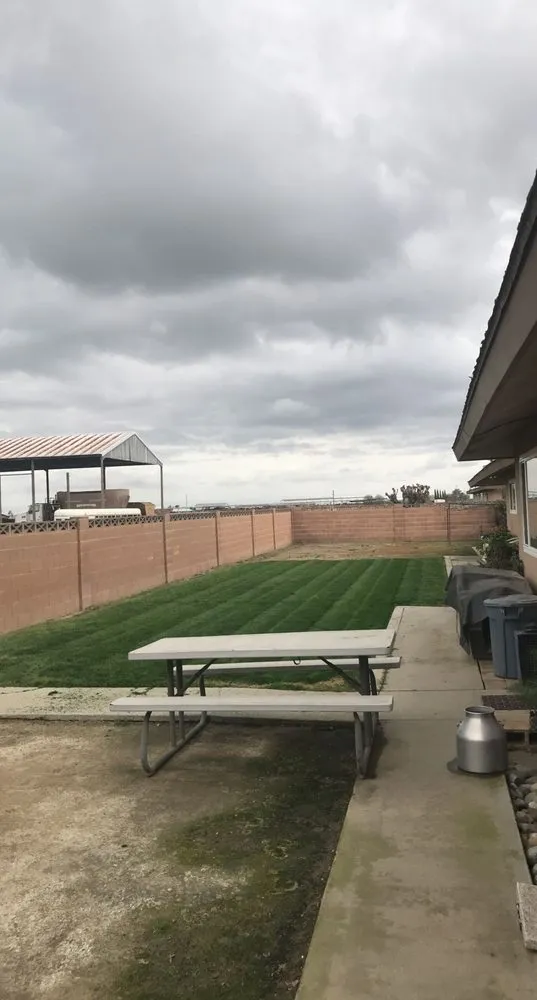 Expert lawn care service experts serving Tulare, CA - Yard Deep Clean