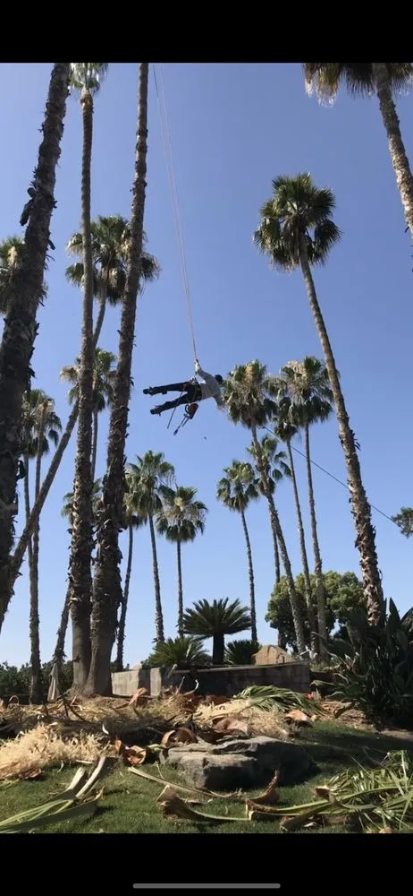 Professional yard maintenance in Tulare, CA by Yard Deep Clean