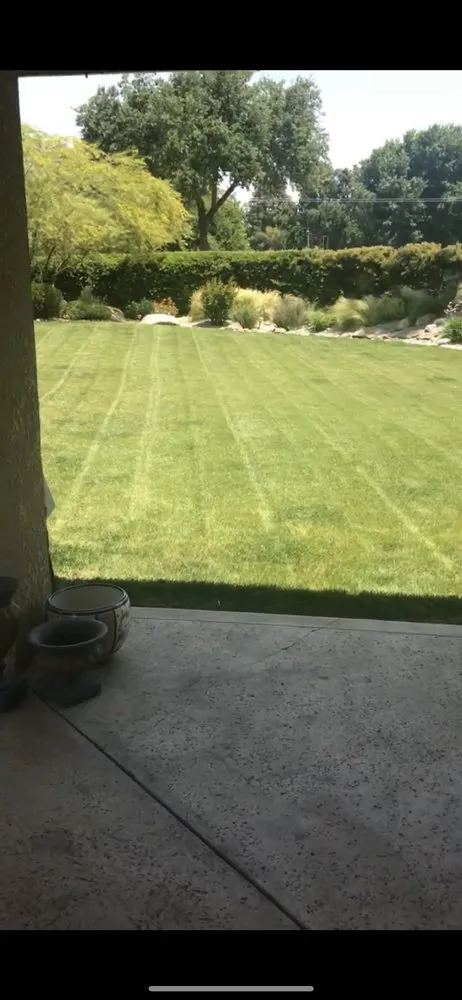 Top-rated lawn mowing service for residential properties in Tulare, CA by Yard Deep Clean