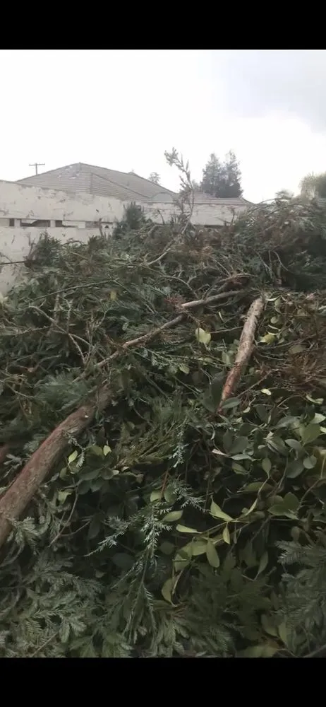 Custom garden landscaping for beautiful yards in Tulare, CA by Yard Deep Clean