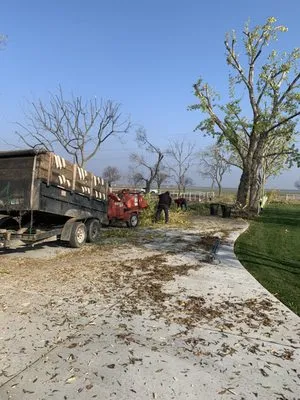 Yard Deep Clean Logo