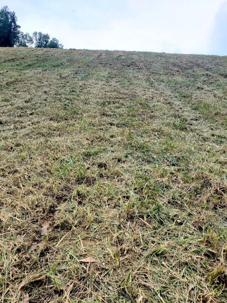 Expert lawn care service with custom design in Solsberry, IN by Yard Designs Plus +