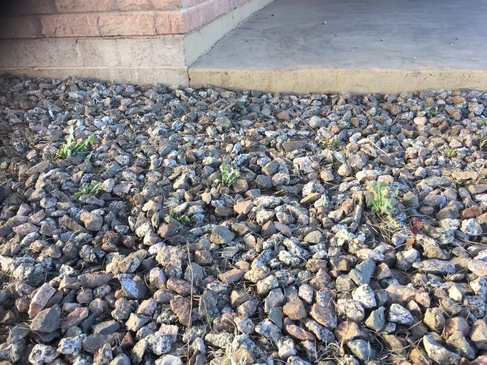 Professional landscape design in Tucson, AZ by Yard Details