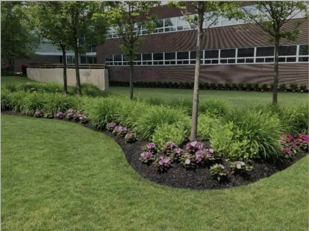 Top-rated landscape design in St Louis, MO by Yard Docs and More