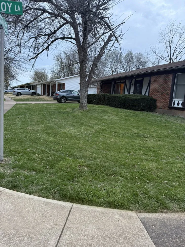 Custom landscaping services experts serving St Louis, MO - Yard Docs and More